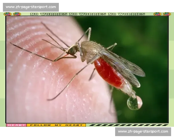 梦魇突袭！科学解析与实用应对指南